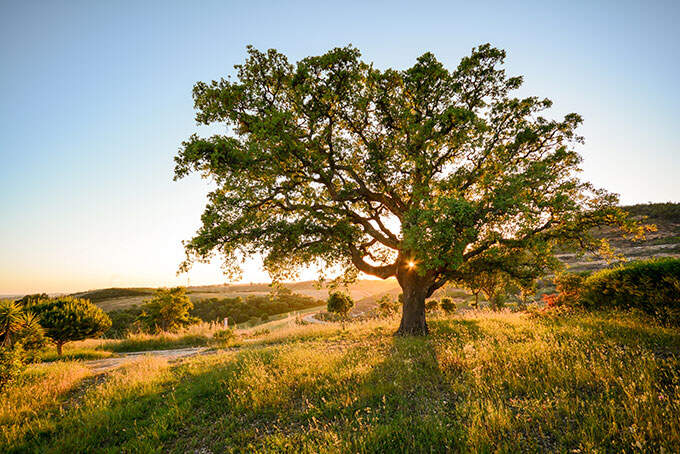 Vakantie Alentejo Portugal