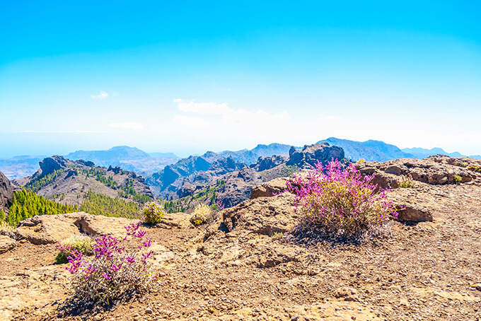 Vakantie Canarische Eilanden