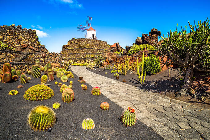 Vakantie Lanzarote Spanje