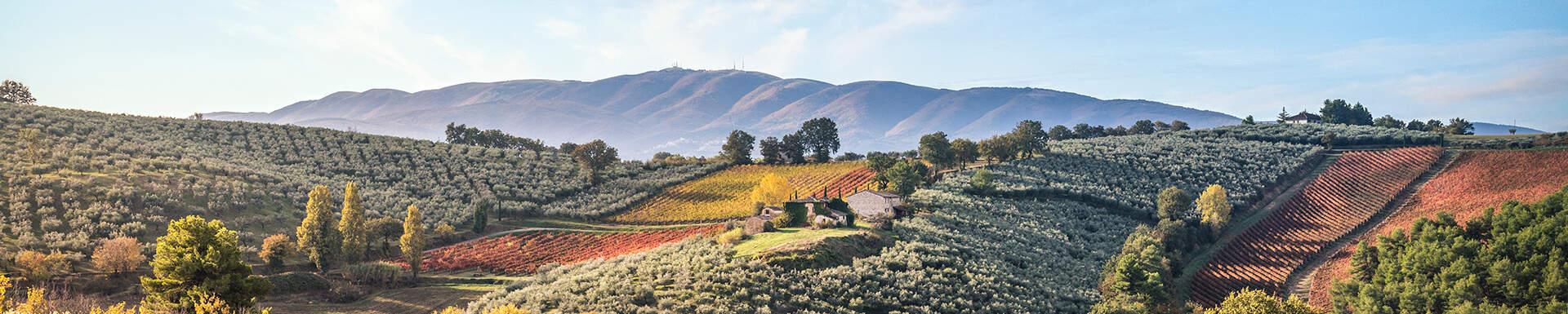 uitzicht op groen, geel en rood gekleurde heuvels in umbrie, Italie