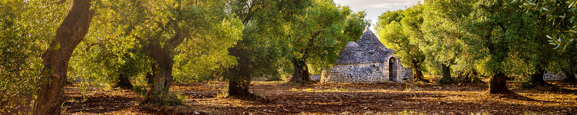 Een agriturismo omringd door prachtige bomen