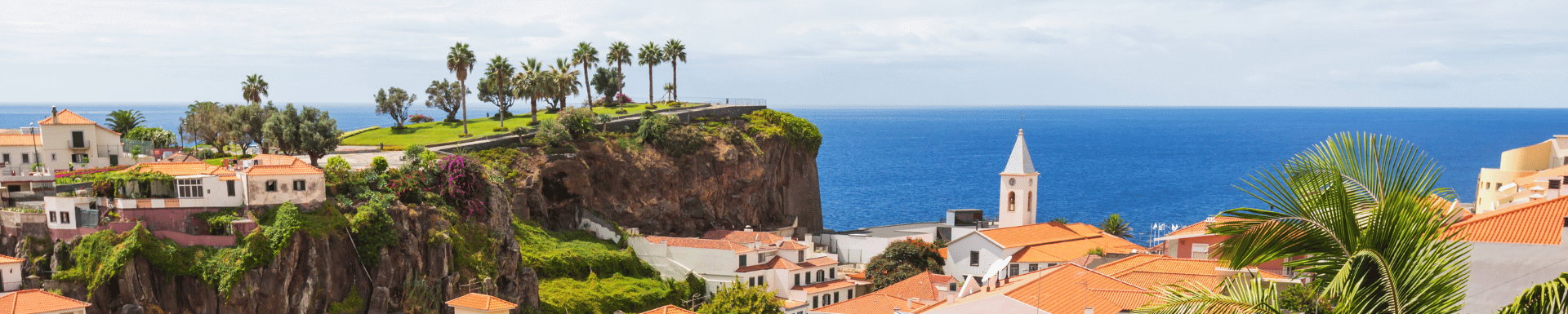 Madeira uitzicht over de zee met palmbomen en gebouwen