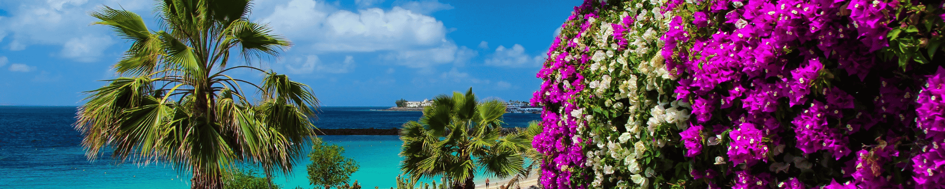 Blauwe zee bij Lanzarote met palmbomen en roze bloemetjes op de voorgrond