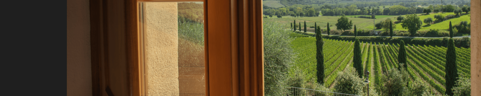 voorwaarden winactie