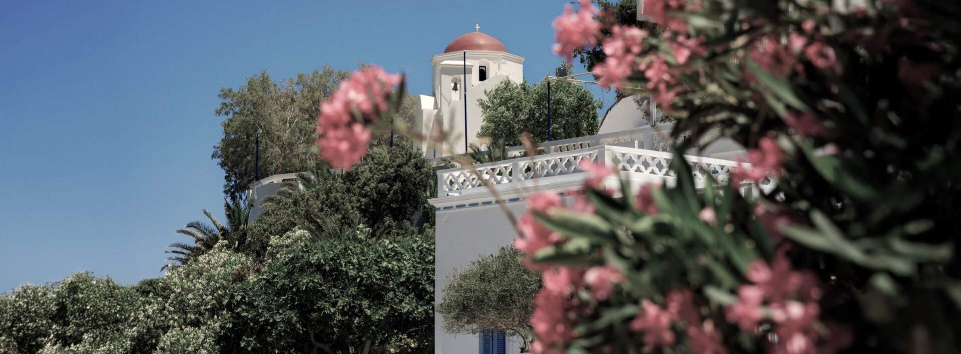 uitzicht op toren omring door planten en roze bloemen, karpathos