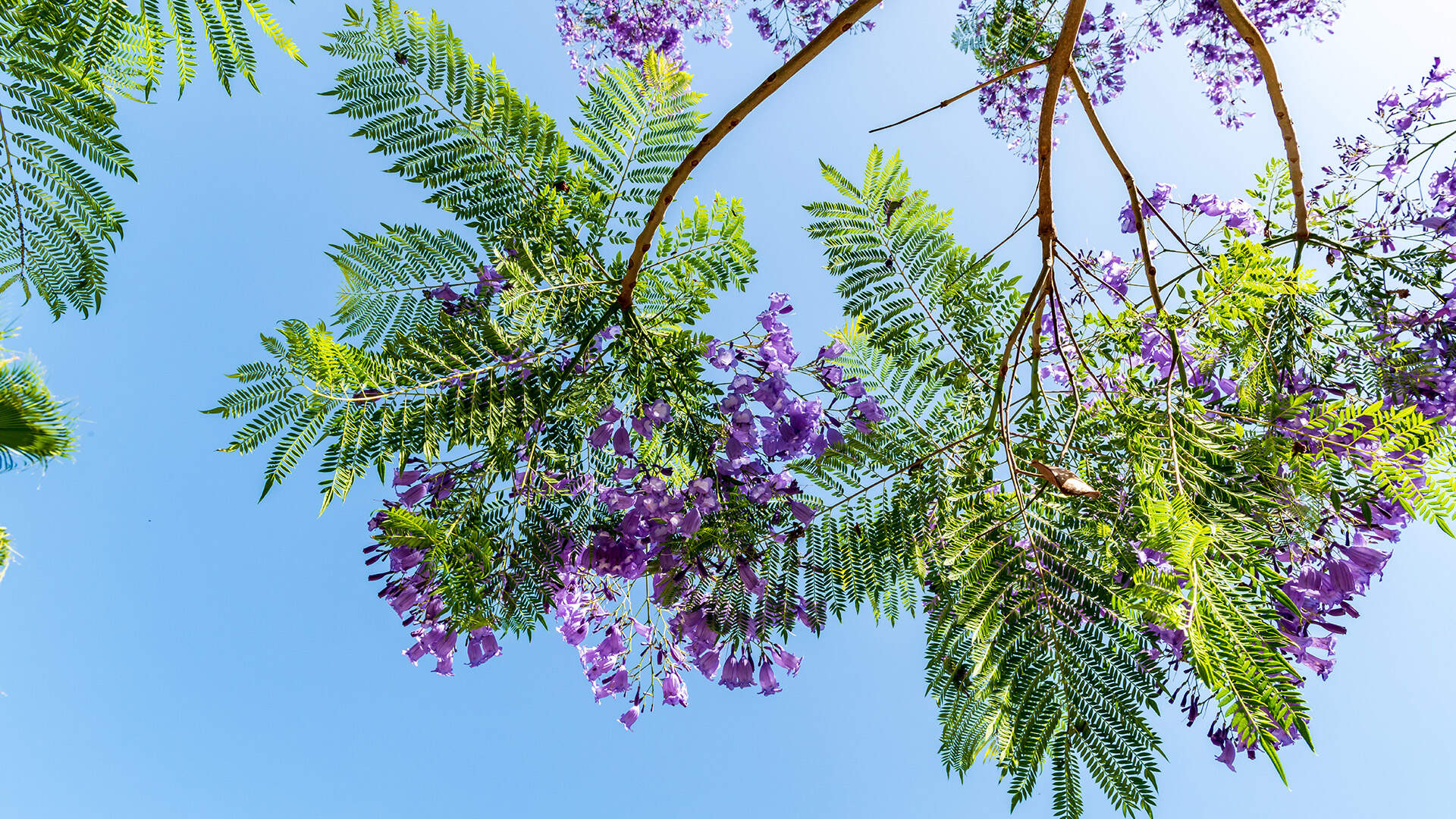 Vliegen Eindhoven Airport