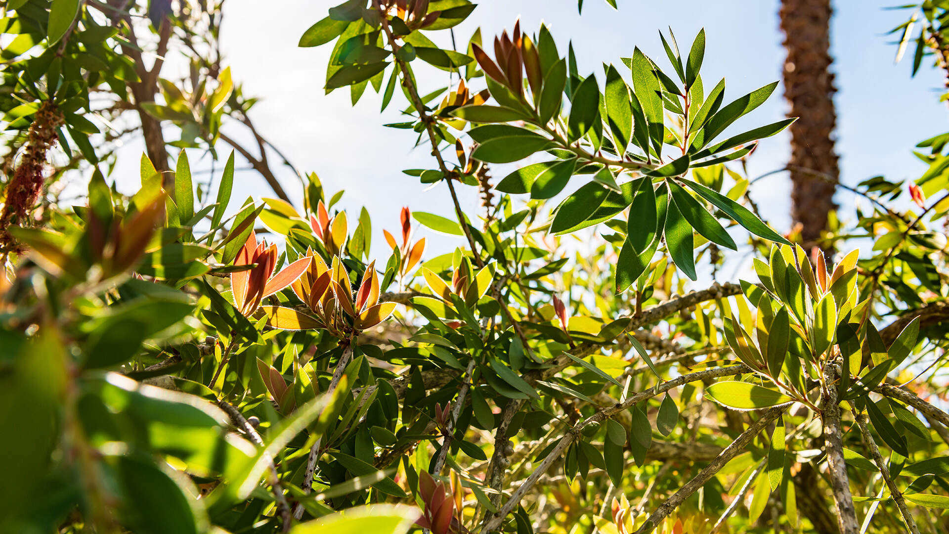 Vliegen Rotterdam The Hague Airport