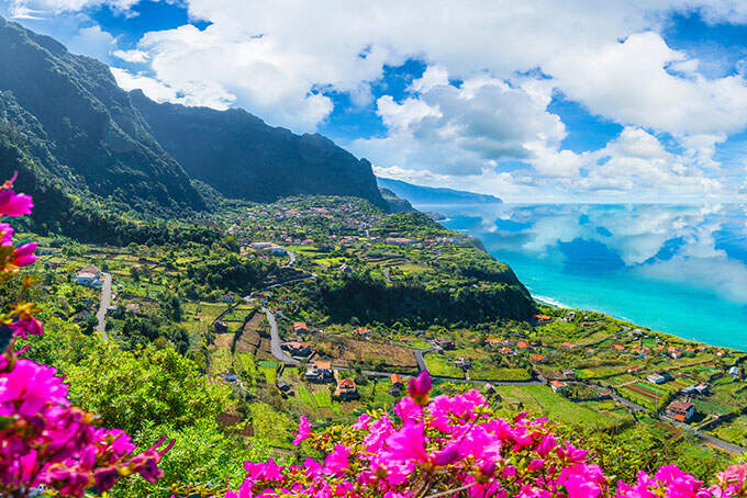 Uitzicht vanaf een berg met bloemen en zee in de verte