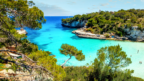 Uitzicht op een baai met groene naaldbomen en kristalblauw water