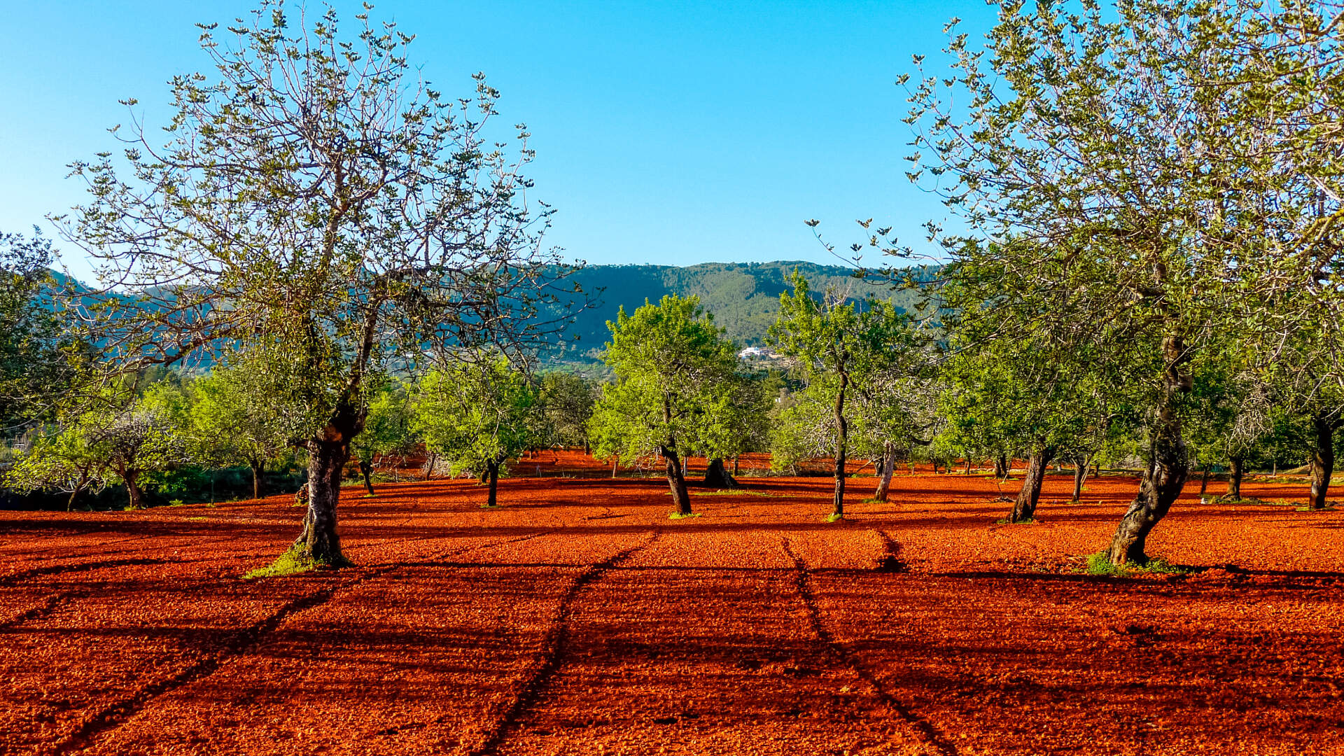 herfstvakantie agriturismo