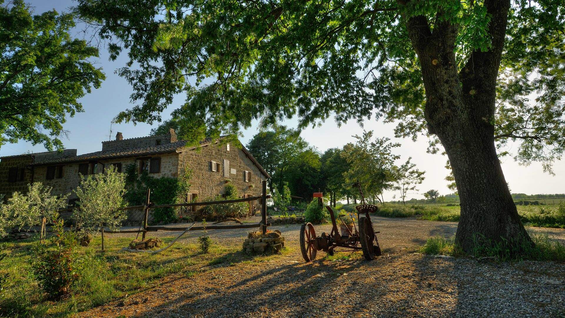 oud huis op platteland met veel bomen en gras