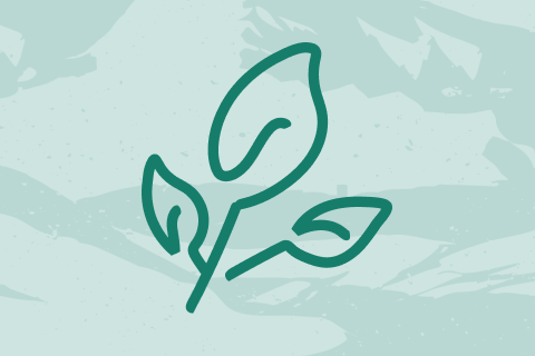 Op vakantie met aandacht voor de planeet